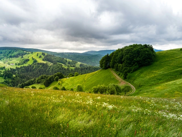 March April fields of grass